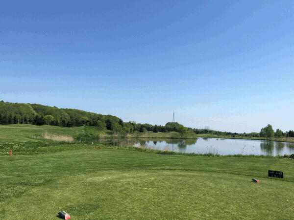 a0309389_22311128.gif