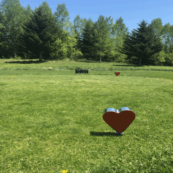 a0309389_22333110.gif