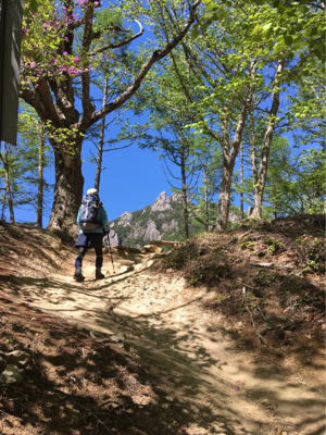 瑞牆山へ_d0261589_19593717.jpg
