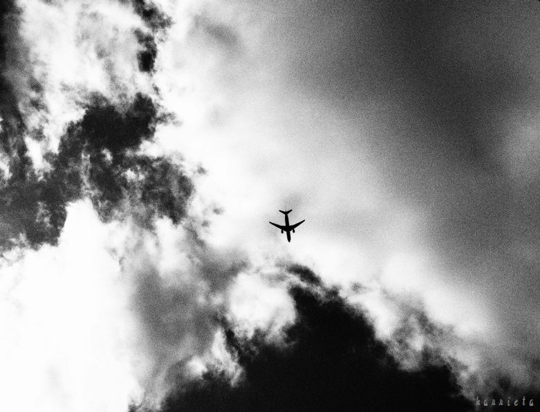 c0152690_23011392.jpg