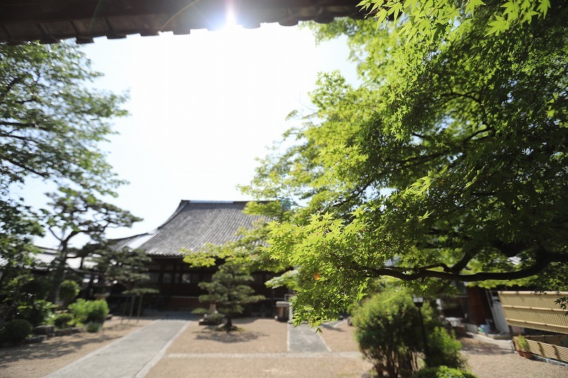 b0190092_22524418.jpg