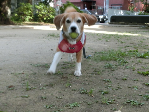 a0319693_8282525.jpg