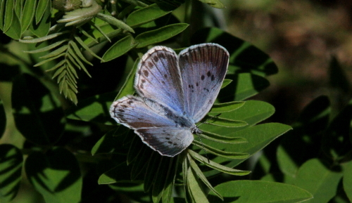 b0331096_05125808.jpg