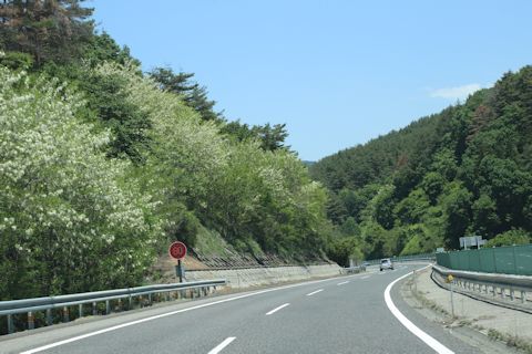 c0090198_20203489.jpg