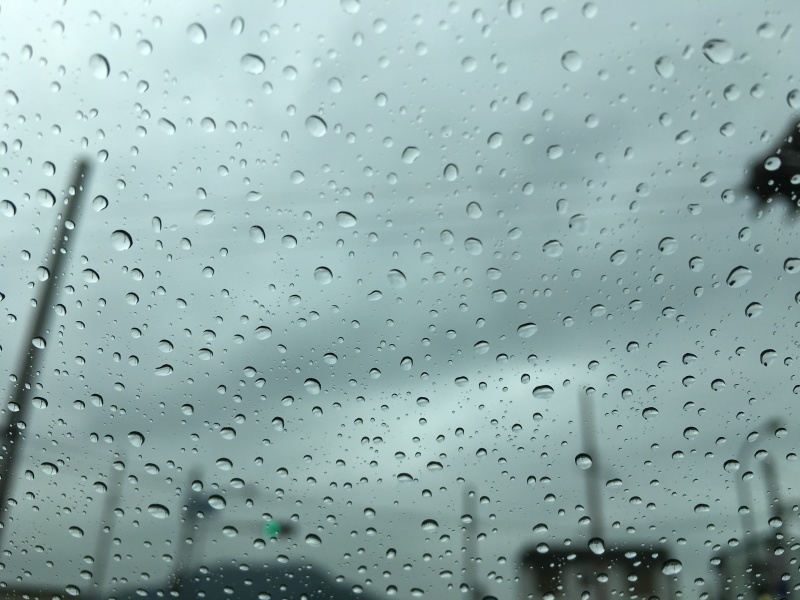 b0220002_20354893.jpeg