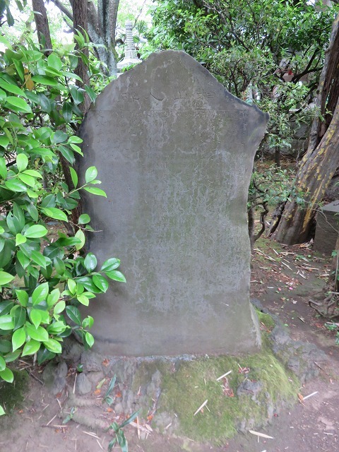 c0187004_20212233.jpg