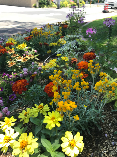 花壇の植栽デザイン 設計 花の庭づくり庭ぐらしガーデニングキララ 花壇の植栽デザイン 設計 花の庭づくり庭ぐらしガーデニングキララ