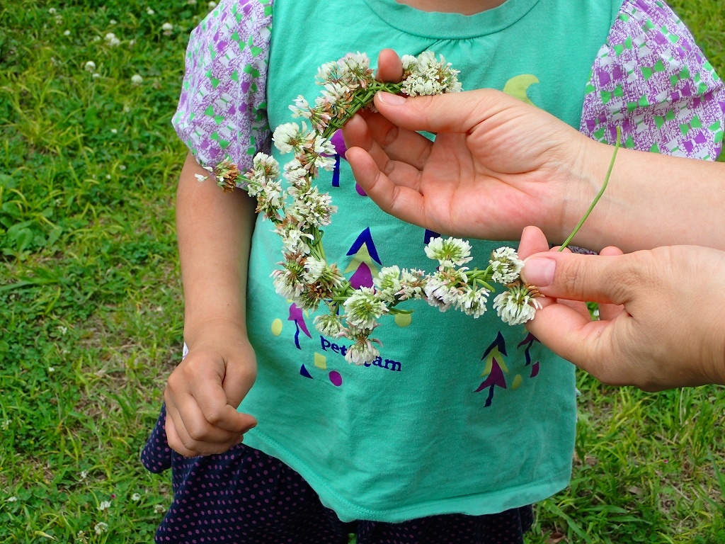 すみればの野草さがし_b0049307_12154113.jpg