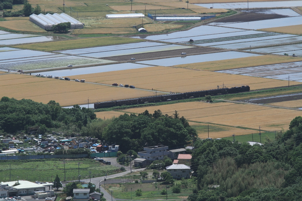 麦秋の春 - 両毛線・2018年春 -_b0190710_21583781.jpg
