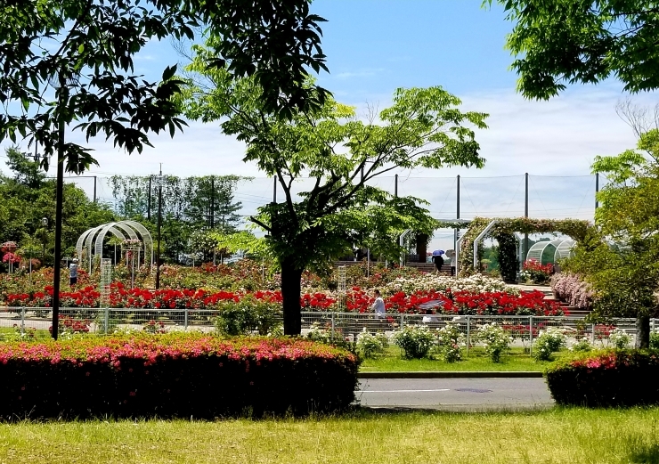 f0219710_07164959.jpg