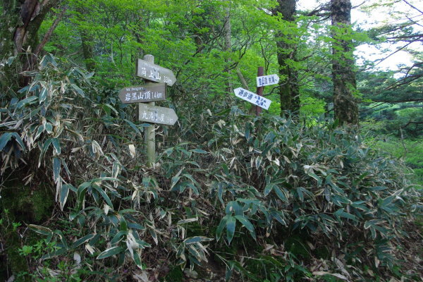 No  147  新緑の岩黒山登山（平成30年5月20日）_d0341514_20464484.jpg