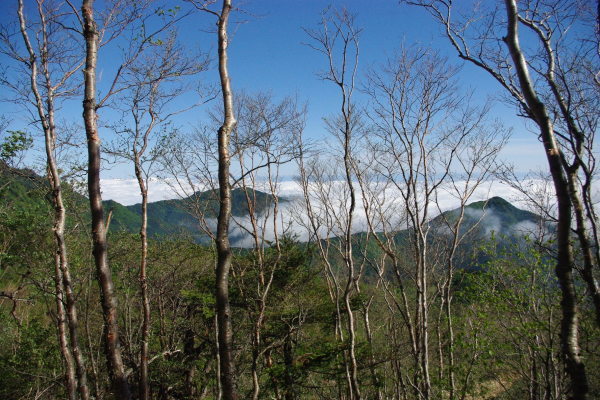 No  147  新緑の岩黒山登山（平成30年5月20日）_d0341514_20491185.jpg