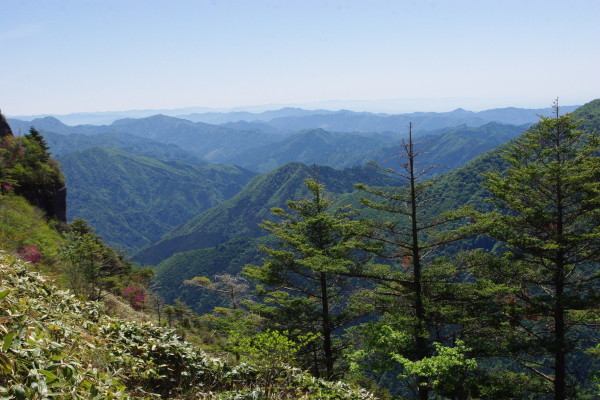 No  147  新緑の岩黒山登山（平成30年5月20日）_d0341514_21083851.jpg