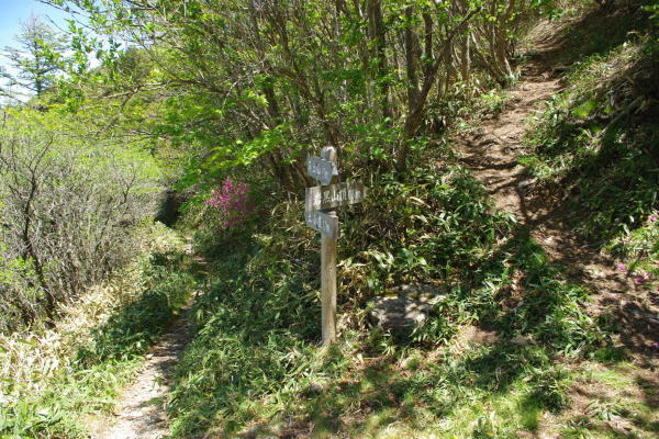 d0341514_21143231.jpg