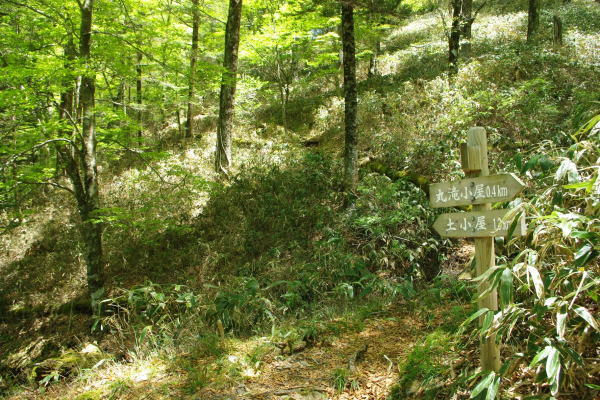 No  147  新緑の岩黒山登山（平成30年5月20日）_d0341514_21161830.jpg