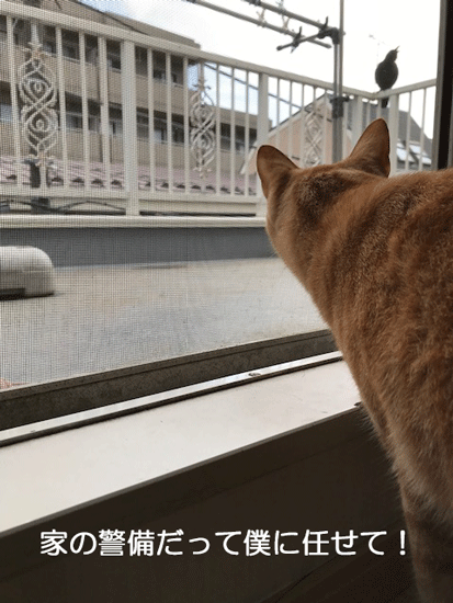 e0195115_09432771.gif