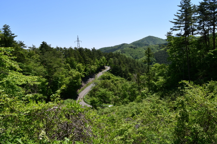 d0210016_20221966.jpg