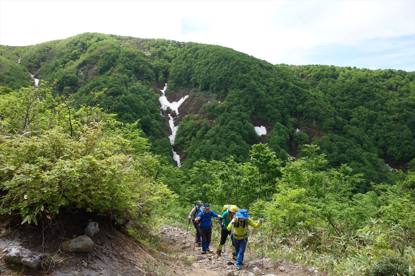 △　水芭蕉（ミズバショウ）の群生地と白山の展望　取立山　△_f0348933_20441915.jpg