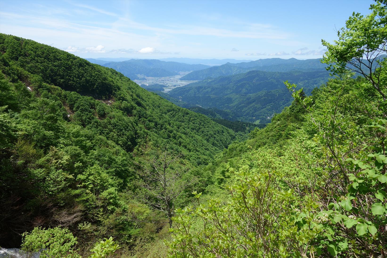 △　水芭蕉（ミズバショウ）の群生地と白山の展望　取立山　△_f0348933_21005660.jpg