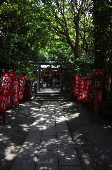 a0287336_01430981.jpg
