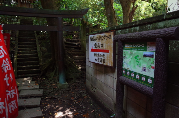 a0287336_01432182.jpg