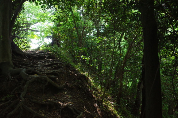a0287336_01434003.jpg