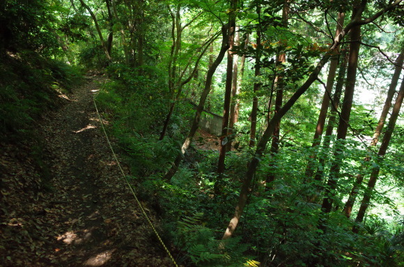 a0287336_01445361.jpg