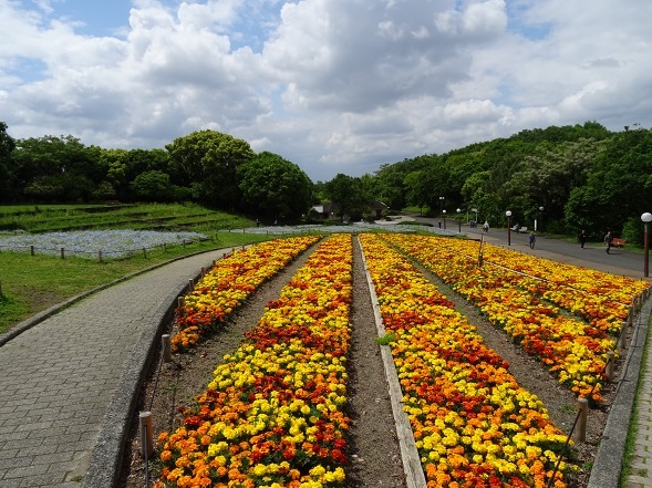 b0299042_15292671.jpg