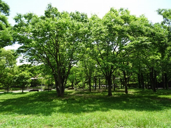 b0299042_15295325.jpg