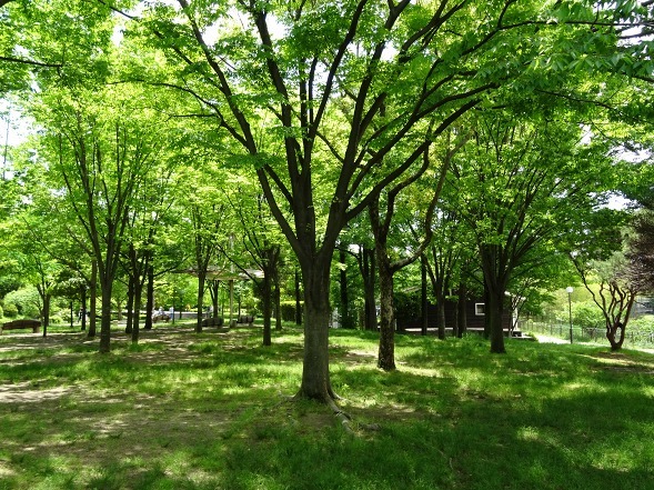b0299042_15295934.jpg