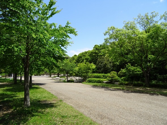 b0299042_15301269.jpg