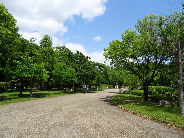 b0299042_15301733.jpg