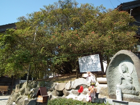 d0358843_15511011.jpg