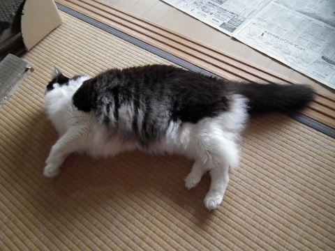 d0358843_22105363.jpg