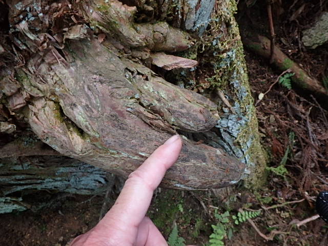 f0334143_7295987.jpg