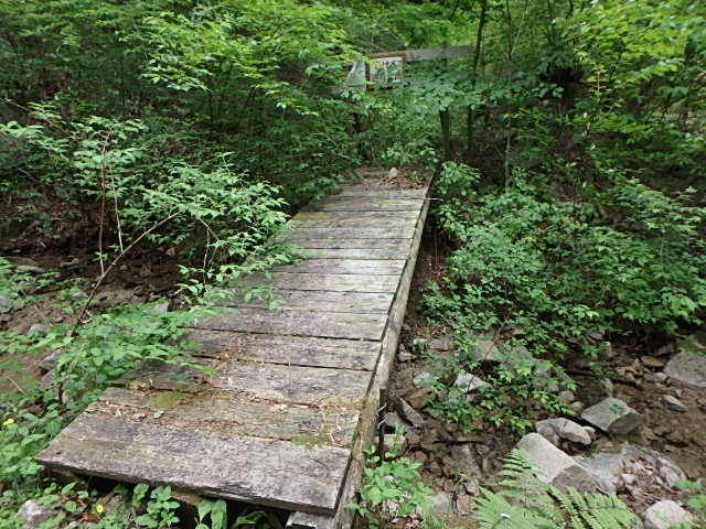 f0334143_731267.jpg