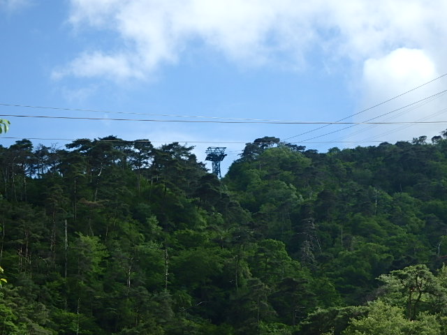 f0334143_738587.jpg