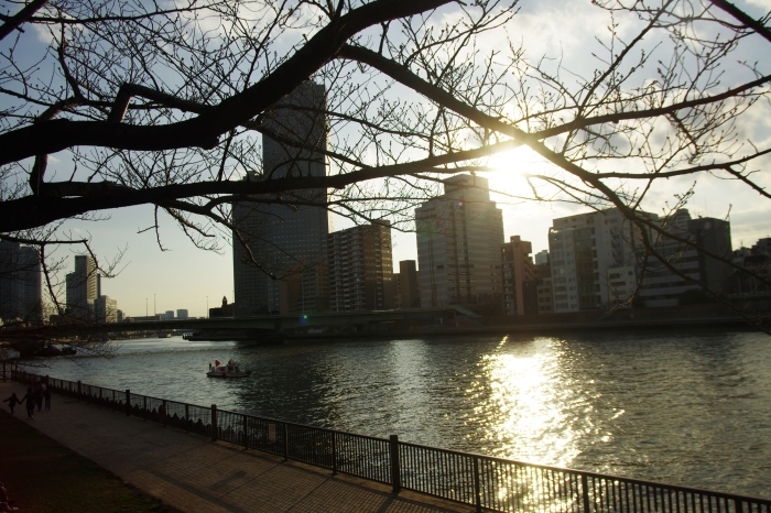 東京の川7_d0185744_18241548.jpg