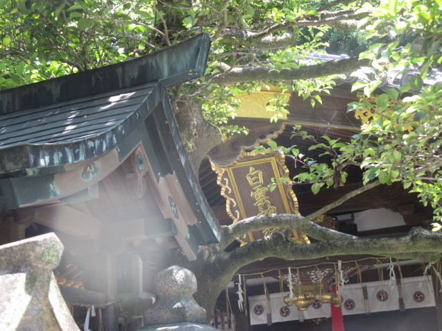 白雲神社で御朱印を頂く。_a0307846_10361672.jpg