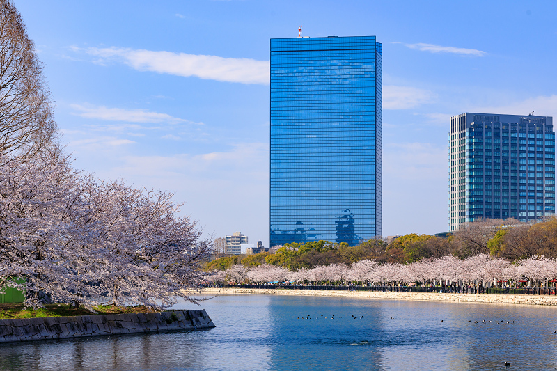 桜咲く大阪城_f0155048_2346051.jpg