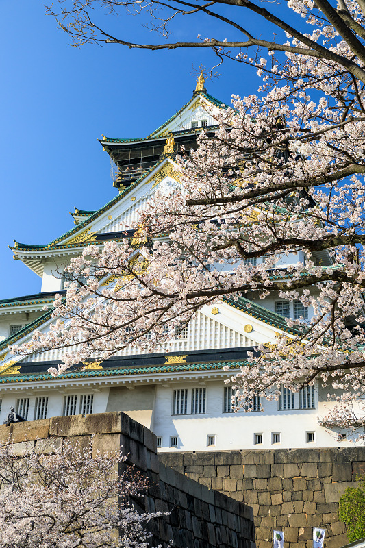 桜咲く大阪城_f0155048_23474469.jpg