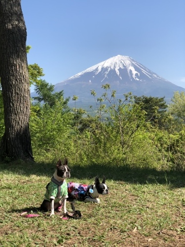 a0347349_20335657.jpeg