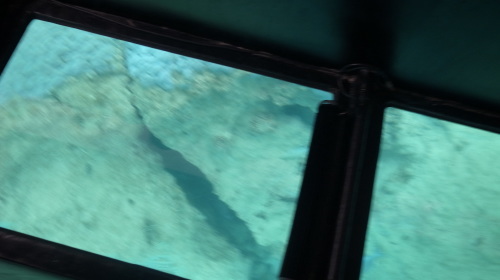 c0011649_00085879.jpg