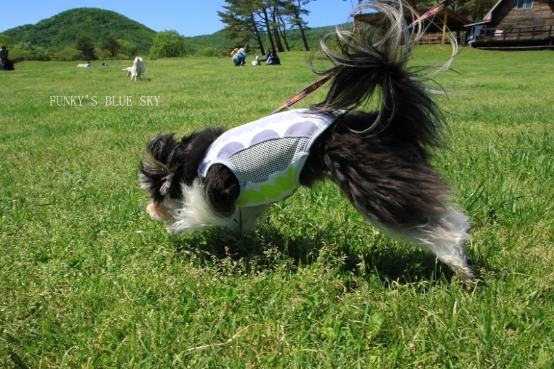 c0145250_10443995.jpg