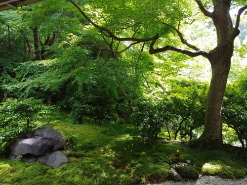 f0320853_09180397.jpg