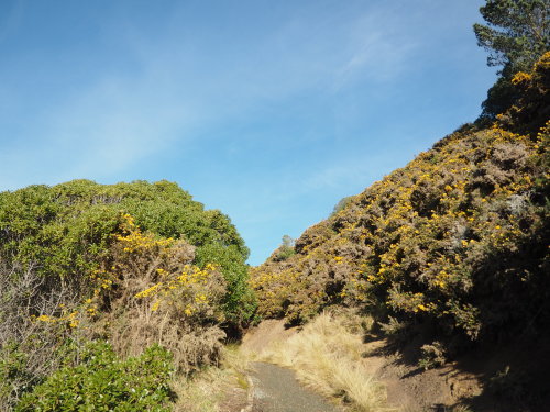 c0351060_02305857.jpg