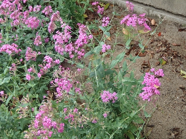b0044663_23091981.jpg