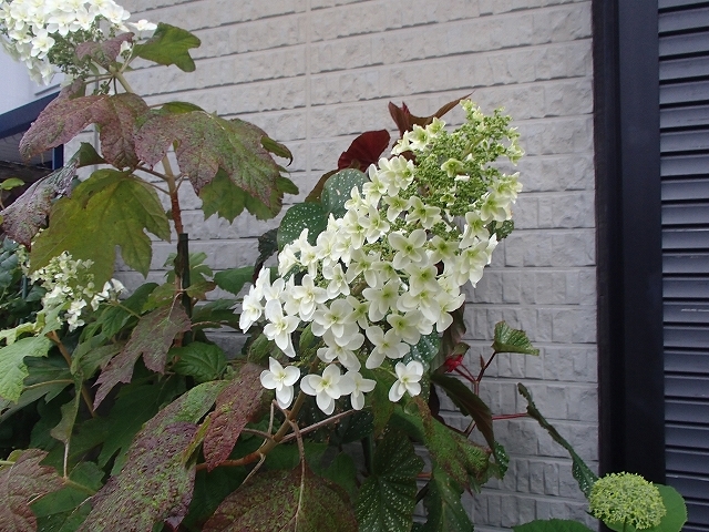 b0044663_23123947.jpg
