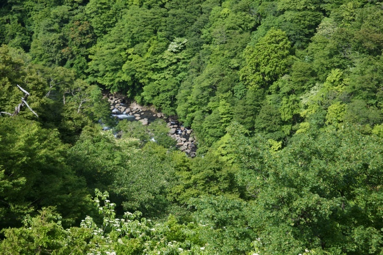 b0116765_16213426.jpg