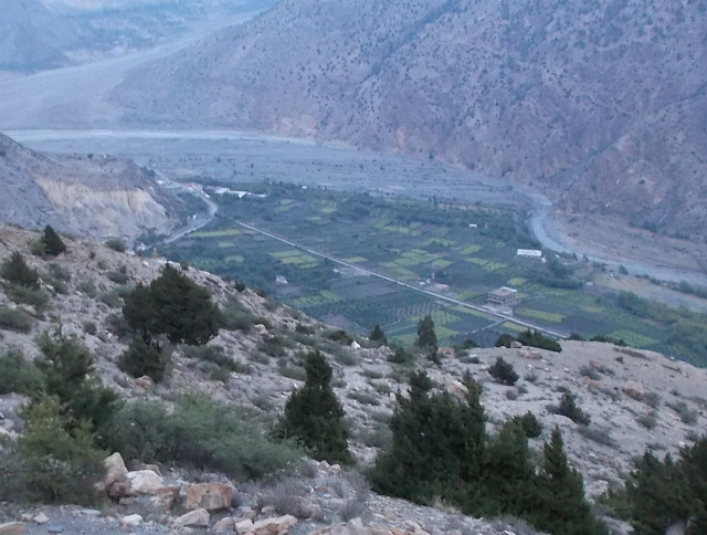 c0219866_10330699.jpg